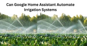 Can Google Home Assistant Automate Irrigation Systems