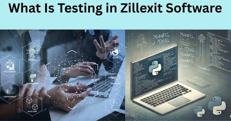 What Is Testing in Zillexit Software (1)