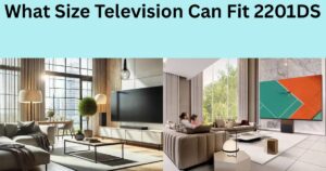 What Size Television Can Fit 2201DS