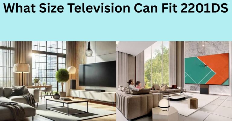 What Size Television Can Fit 2201DS